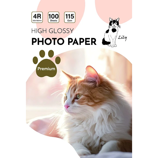 Papel fotográfico 4R 115gr