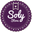 SOLYSTORE.CL logo